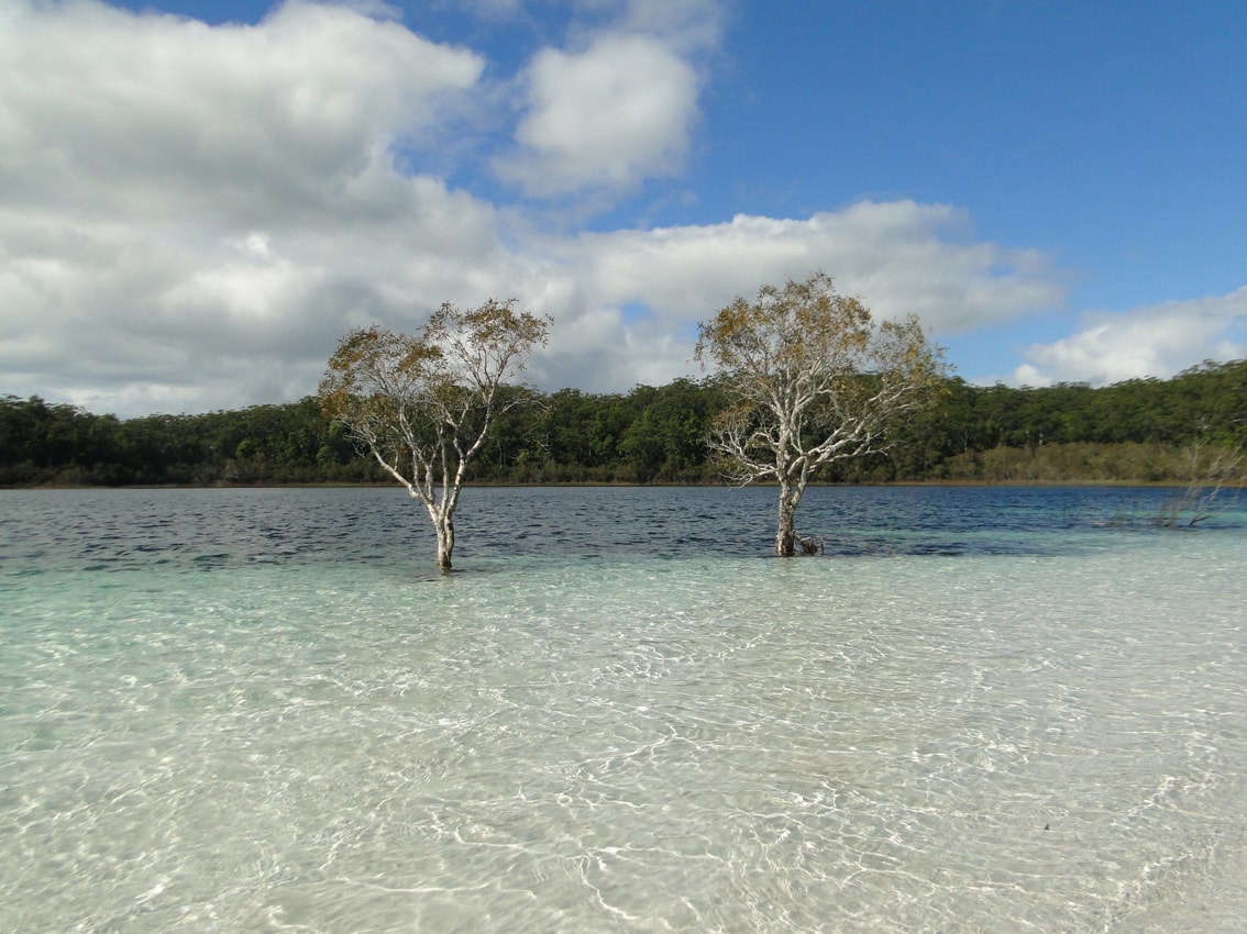 Fraser Island - Queensland - Australie