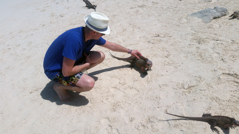 Bahamas - Iguanes sur la plage